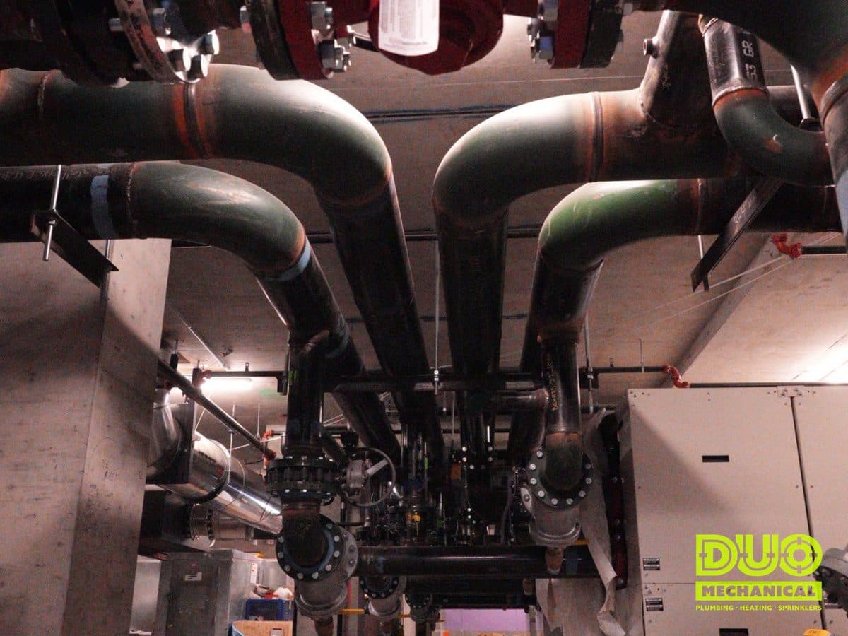 Navien Boiler Upgrade — photo 5