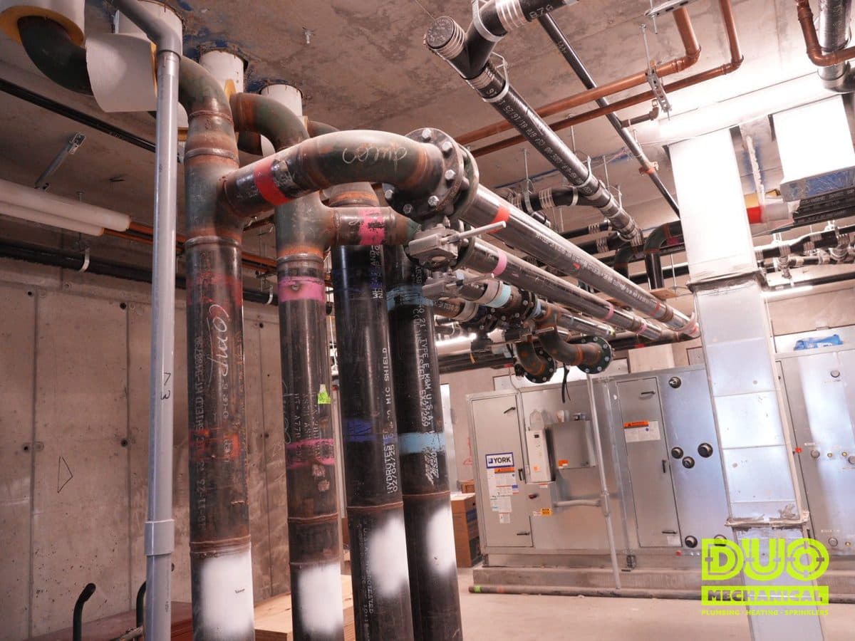 DUO Mechanical Plumbing project