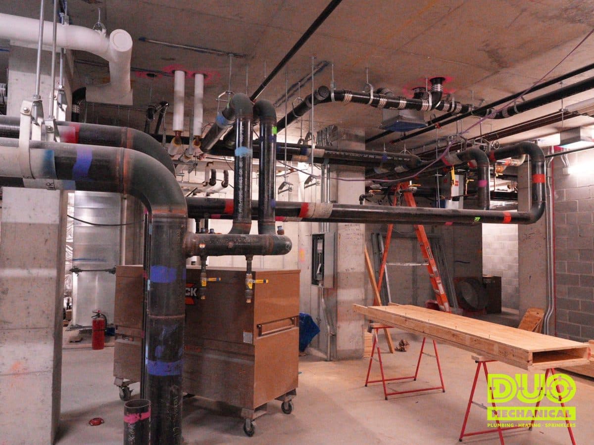 DUO Mechanical Plumbing project
