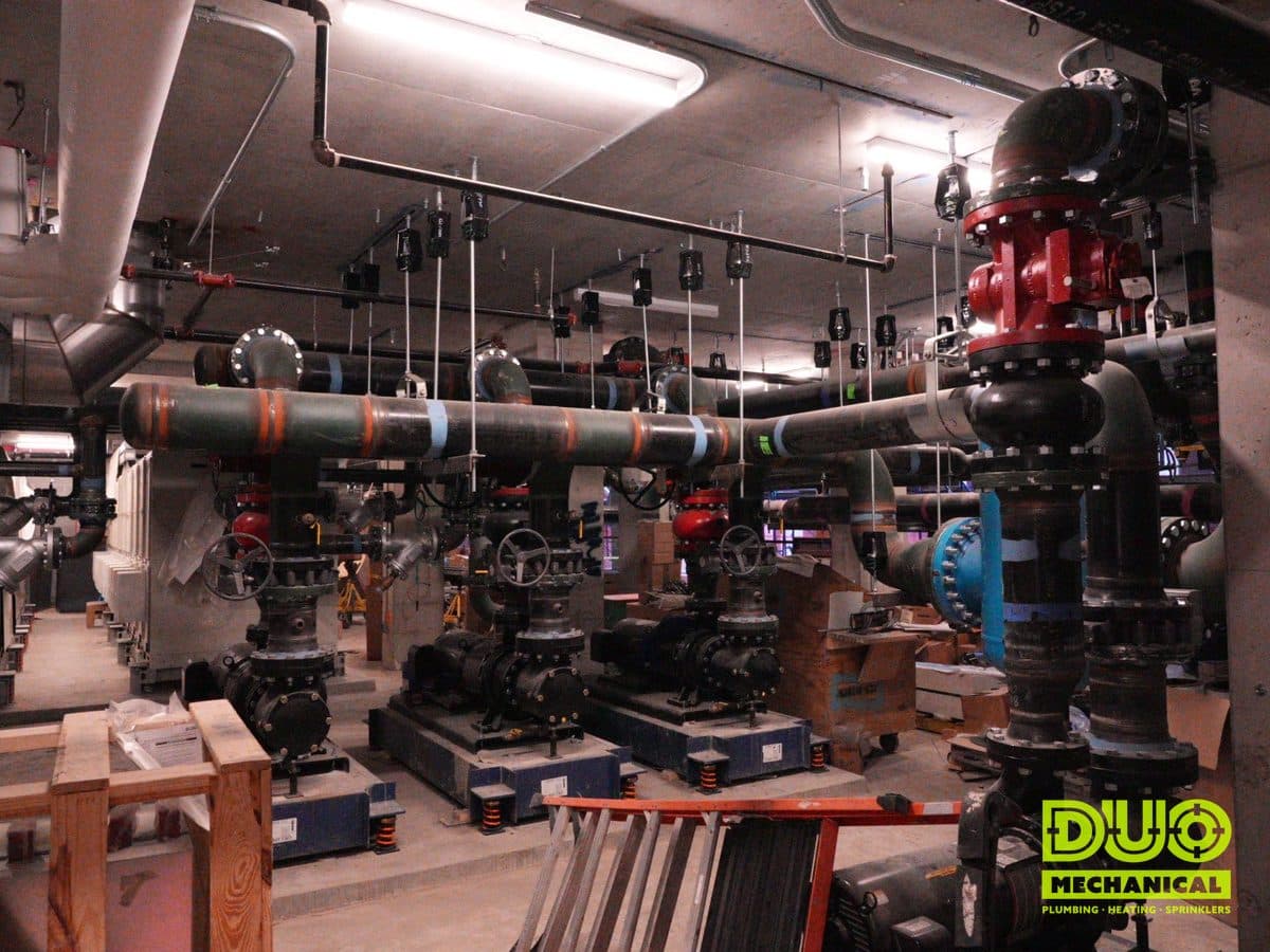 DUO Mechanical Plumbing project