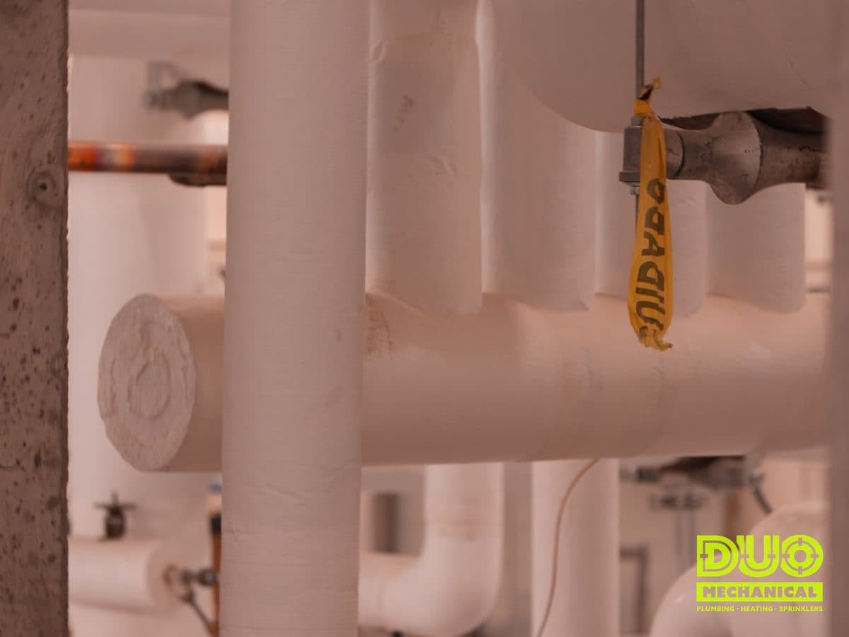 DUO Mechanical Plumbing project
