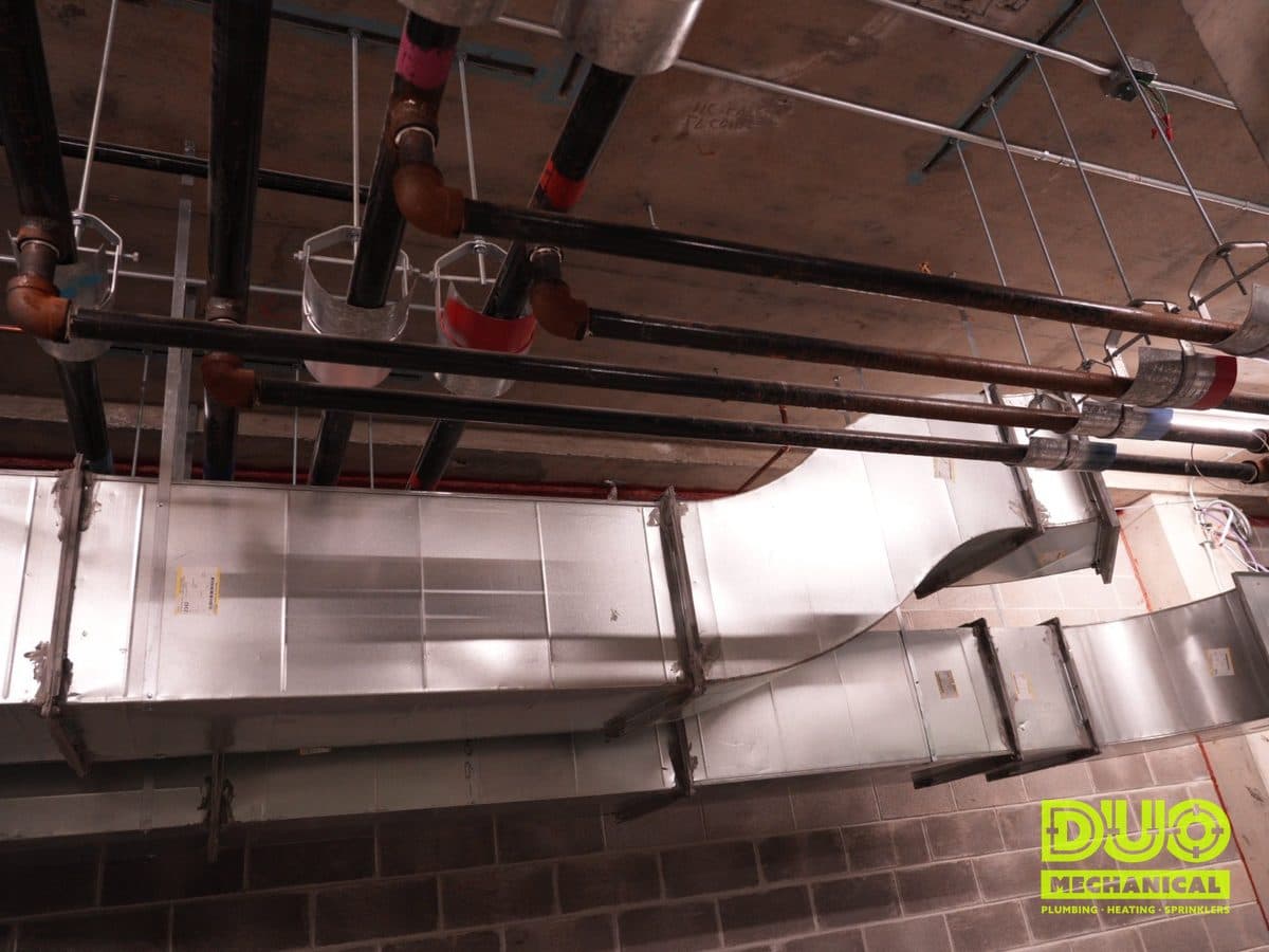 DUO Mechanical Plumbing project